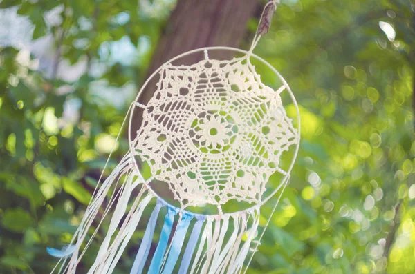 Dream catcher hanging from a tree. Ethnic design, boho style, tribal symbol.