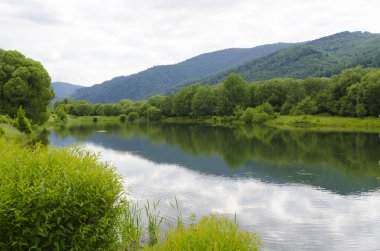Dağların arkasında Skole Gölü ve orman ağaçları olan yaz Karpatya manzarası. Doğa rezervi. Doğal arka plan. Ukrayna.