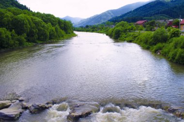 Opir nehri ve dağların arkasında orman ağaçları olan yaz Karpatya manzarası. Doğa rezervi. Doğal arka plan. Ukrayna.