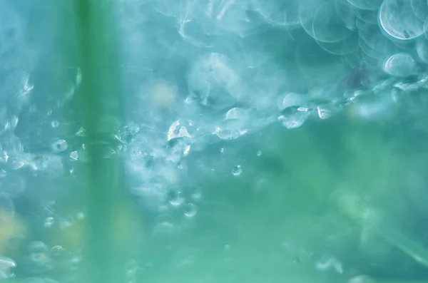 Makro Rosa Kapky Pavučině Zblízka Kapka Vody Šumivým Bokeh Zeleném — Stock fotografie