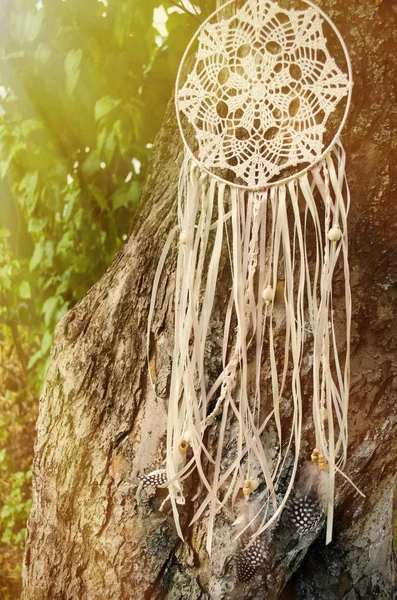 Ловец Снов Висит Дереве Этнический Дизайн Стиль Бохо Племенной Символ — стоковое фото