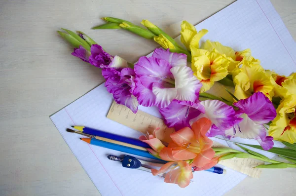 Bukett gladiolus blommor och skolmaterial. — Stockfoto