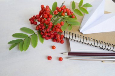 Kırtasiye ve ofis malzemeleri dağ kül ve gri ahşap arka plan üzerinde izole kağıt uçak dalı ile.