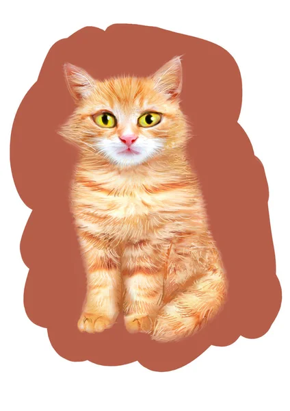 Cute Furry Orange Cat Isolated White Background Hand Drawn Pet — Stock Photo, Image