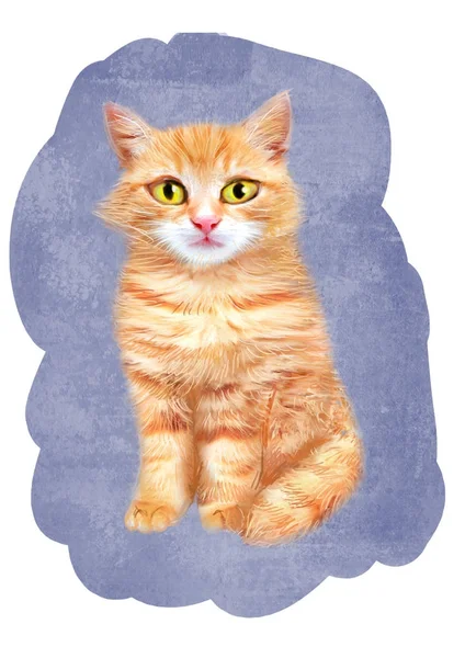 Cute Furry Orange Cat Isolated White Background Hand Drawn Pet — Stock Photo, Image