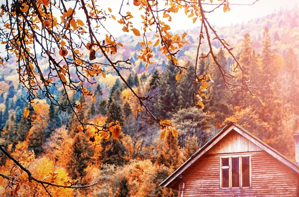 Montañas Los Cárpatos Otoño Con Una Casa Madera Colorido Paisaje — Foto de Stock