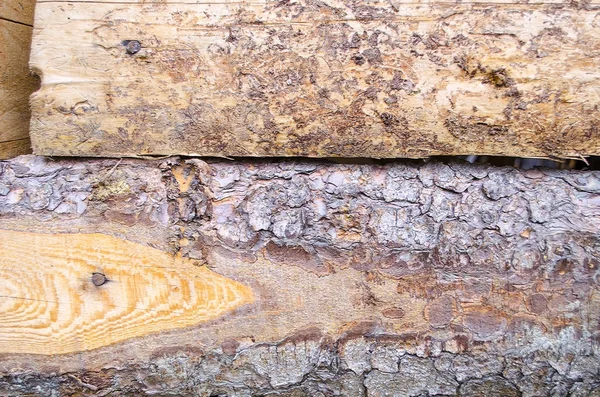Texturou Kůry Stromu Palivové Dříví Dřevěná Kůra Pozadí — Stock fotografie