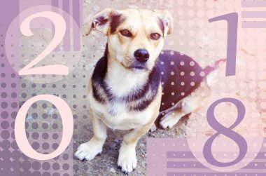 Mutlu yeni yıl 2018. Çin yılı köpek. Tebrik kartı kavramı.