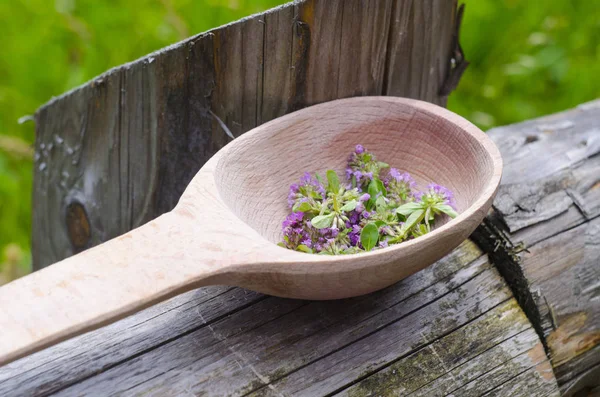 A wooden spoon with thyme. The photo can be used for phytotherapy posts, medicinal plants in medicine.