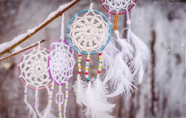 Bir ağaca tutunan Rüya yakalayıcı. Etnik tasarım, boho style, l.