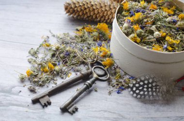 Ivan-çay, Peygamber Çiçeği, calendula, heather ve kekik bitkisel çay. Sağlık ve uzun ömür için anahtar.