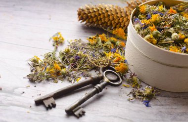 Ivan-çay, Peygamber Çiçeği, calendula, heather ve kekik bitkisel çay. Sağlık ve uzun ömür anahtarı. Bir düdük Clay kuştur.