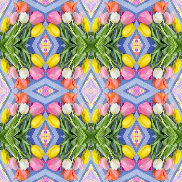 Fundo de flores tulipa. Padrão sem costura de flores de tulipa . — Fotografia de Stock