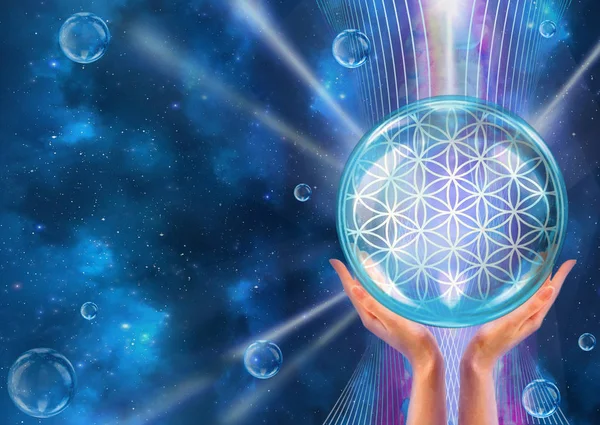 Çiçek yaşam. Kutsal geometri. Lotus çiçeği. Desen oluşturulması, potansiyel enerji konsantrasyonu temsil eder..