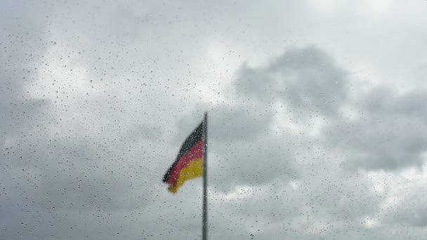 The german flag — Stock videók