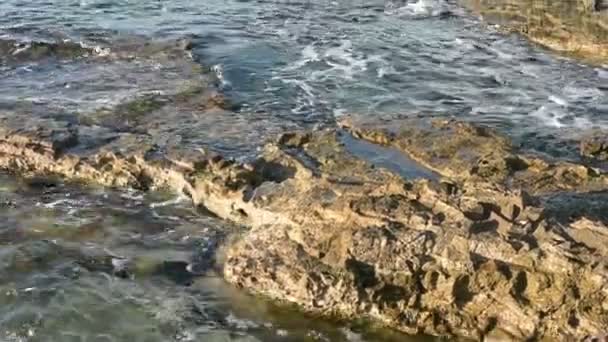 Las olas en el mar — Vídeo de stock