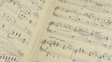 Müzik notaları