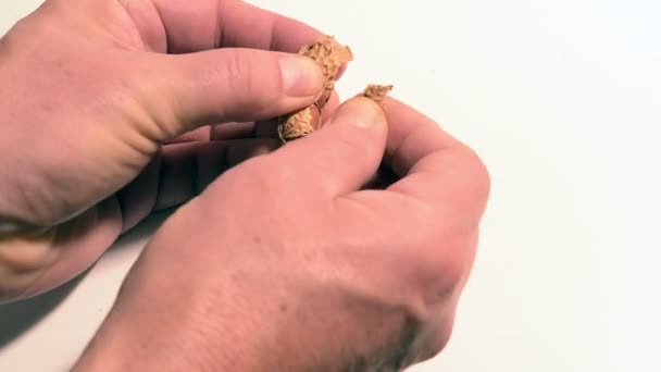 Cacahuetes en la mano — Vídeo de stock