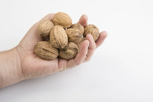 Algunos frutos secos fruta — Foto de Stock