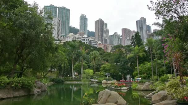 Parque de kong hong — Vídeo de Stock