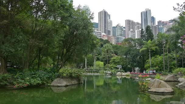 香港公園 — ストック動画