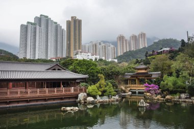 Honbg Kong Chi Lin bahçede