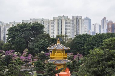 Honbg Kong Chi Lin bahçede