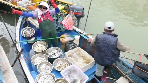 Sälja fisk från båten. — Stockvideo