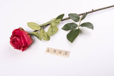 Kırmızı bir gül.