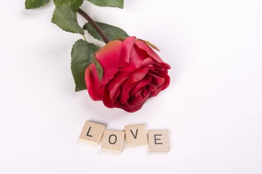 Kırmızı bir gül.