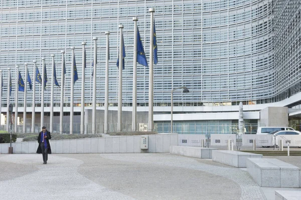 Brüksel'sallayarak Avrupa flasg