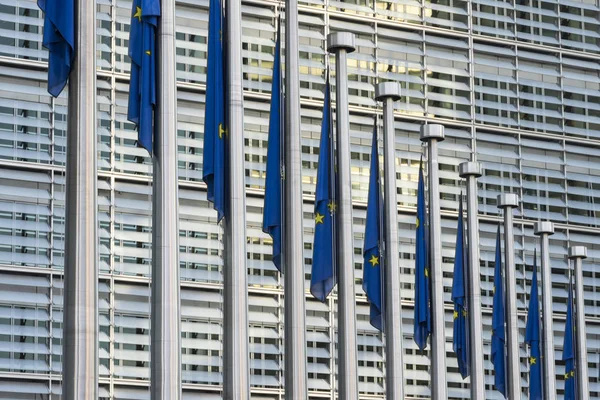 Європейська прапори, розмахуючи — стокове фото