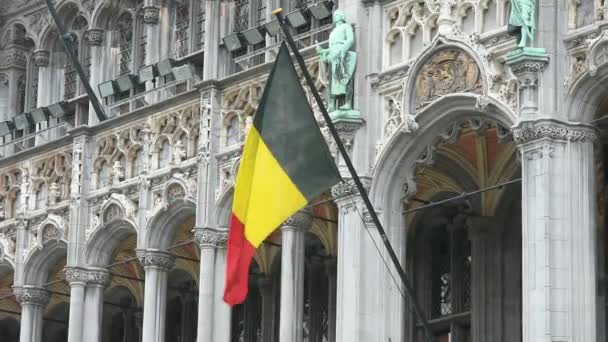 La bandiera belga — Video Stock
