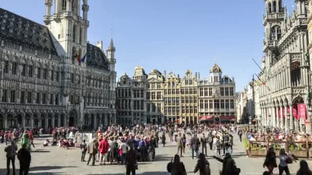 Грандіозне місце в Брюсселі — стокове відео