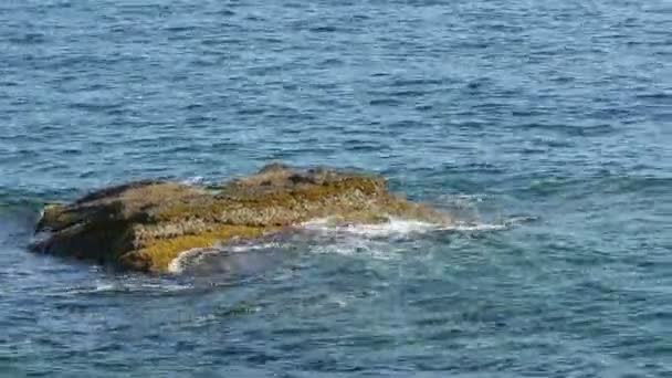 La roca en el mar — Vídeo de stock