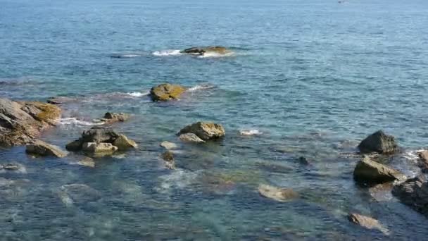大海里的石头 — 图库视频影像