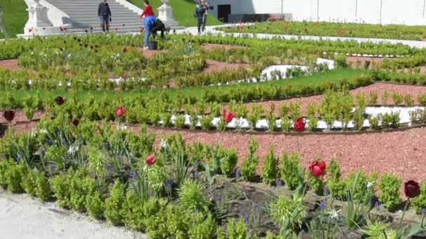 The baroque garden in Bratislava. — Stock Video