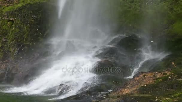 Una cascada en la naturaleza — Vídeos de Stock