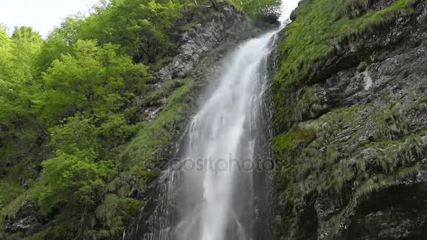 Uma cachoeira na natureza — Vídeo de Stock