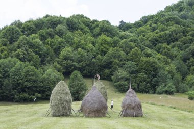   Romanya'da geleneksel kabukları