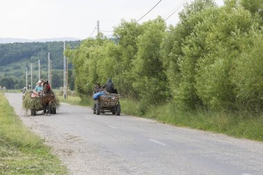   İki atlı vagon Romanya'da yolda
