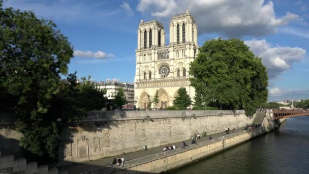 Cathédrale Norte Dame à Paris — Video