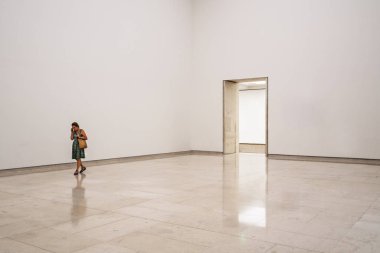 Leopold Müzesi, Viyana