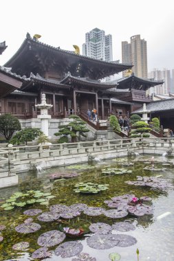 Hong Kong, Ocak 2017. Nan Lian bahçesinde Hong Kong Bahçe