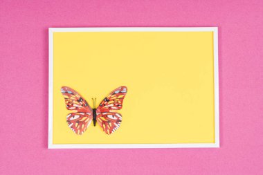 Dekoratif kelebek renkli bir arka plan üzerinde beyaz bir çerçeve içinde