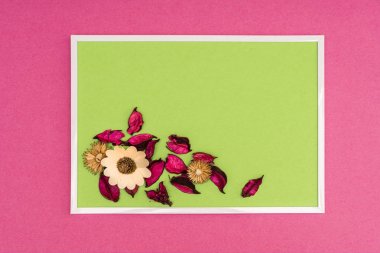 renkli bir arka plan üzerinde kuru çiçekler ile kompozisyon