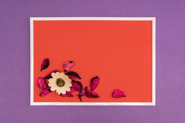 renkli bir arka plan üzerinde kuru çiçekler ile kompozisyon