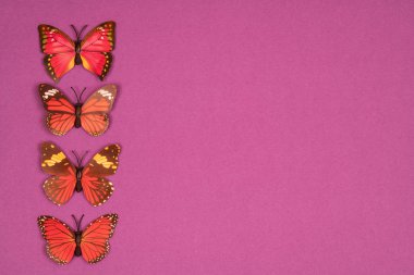 renkli bir arka plan üzerinde dekoratif kelebekler