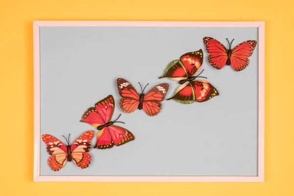 Dekorativa Fjärilar Vit Ram Färgad Bakgrund — Stockfoto