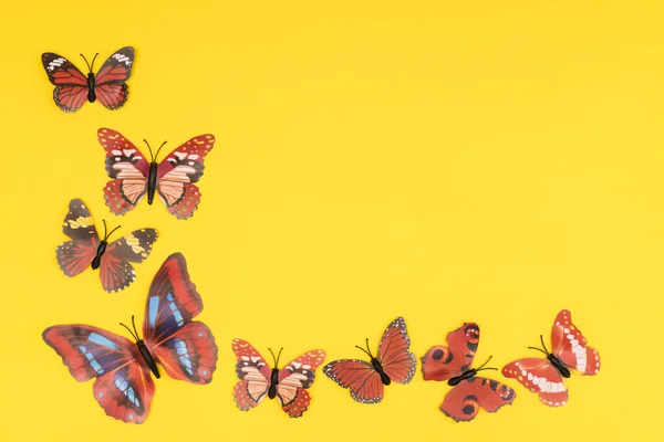 Dekorativa Fjärilar Färgad Bakgrund — Stockfoto